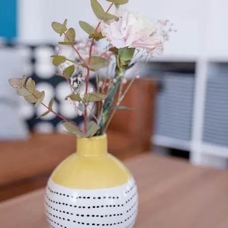 Appartement Meerblick Und Salz In Der Luft